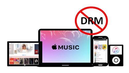 Apple Music での音楽を USB にコピーする方法